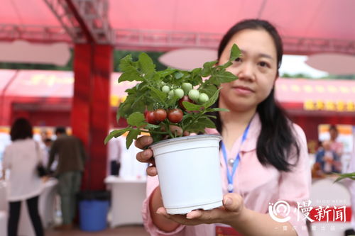 2021年重庆高新区科技活动周盛大启幕 科技服务赋能创新发展