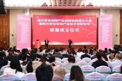 科技服务赋能创新发展 中国高新网引领科技技术服务新篇章